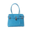 turquoise-ostrich